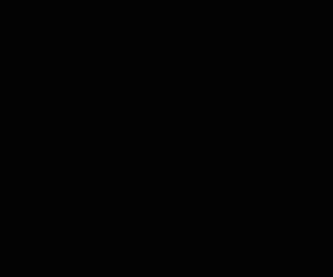 Animations and videos